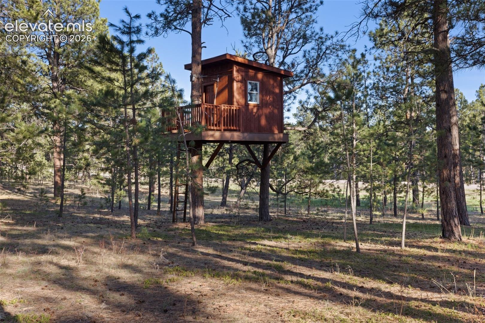 Treehouse with zipline