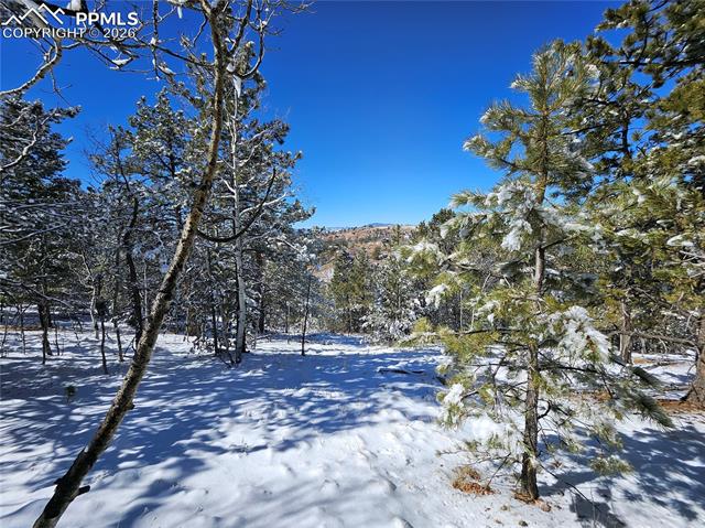 Photo 18 of 829 Princess Road, Cripple Creek