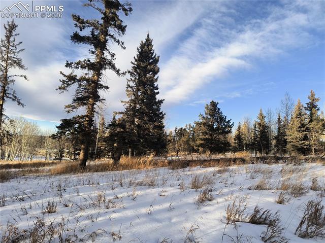 Photo 22 of Will Scarlet Drive, Divide