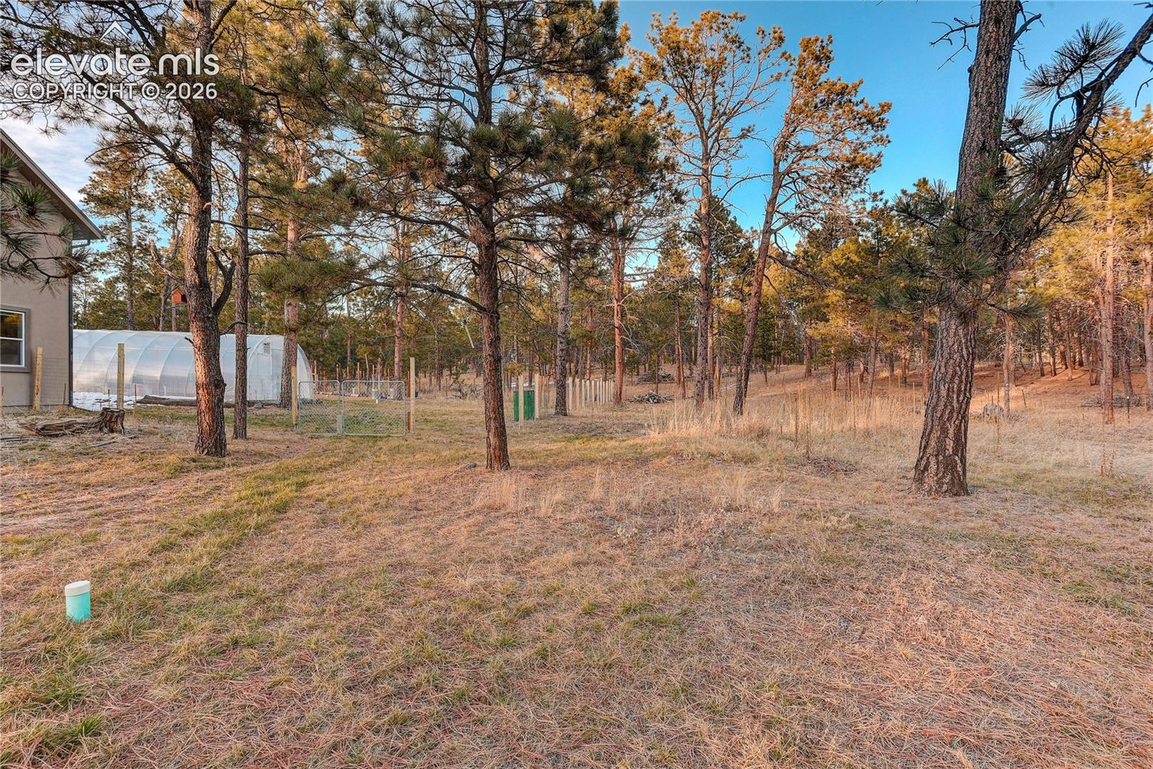 Photo 43 of 9920 Hodgen Road, Colorado Springs