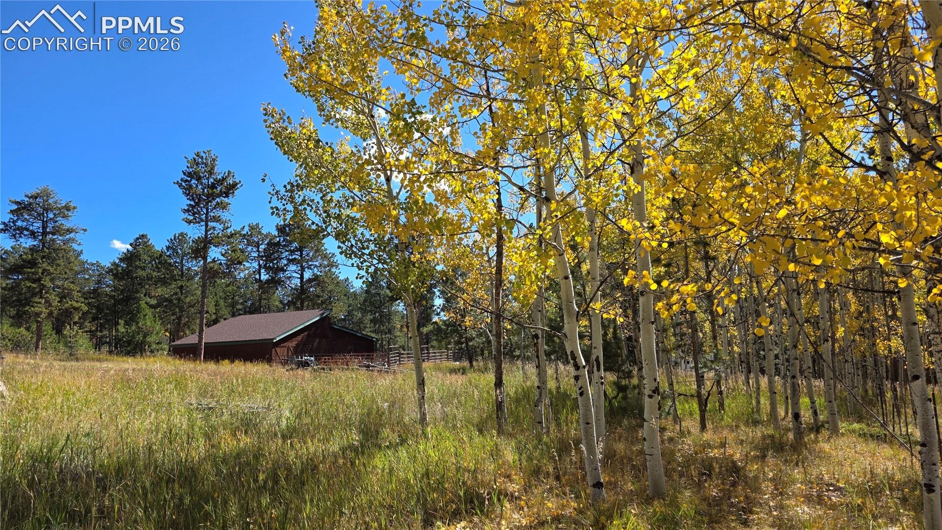 Photo 7 of 210 Bridlewood Lane, Woodland Park