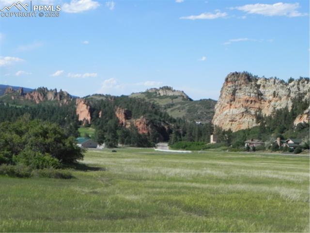 View form lot