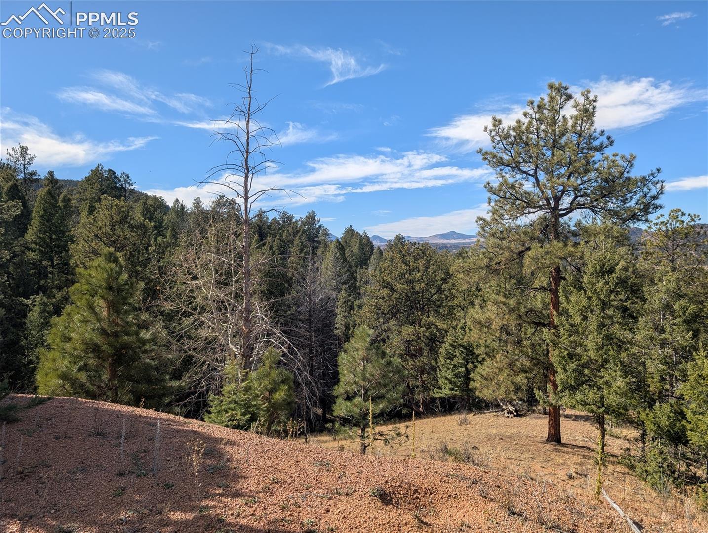 Photo 14 of 130 Lookout Road, Cripple Creek