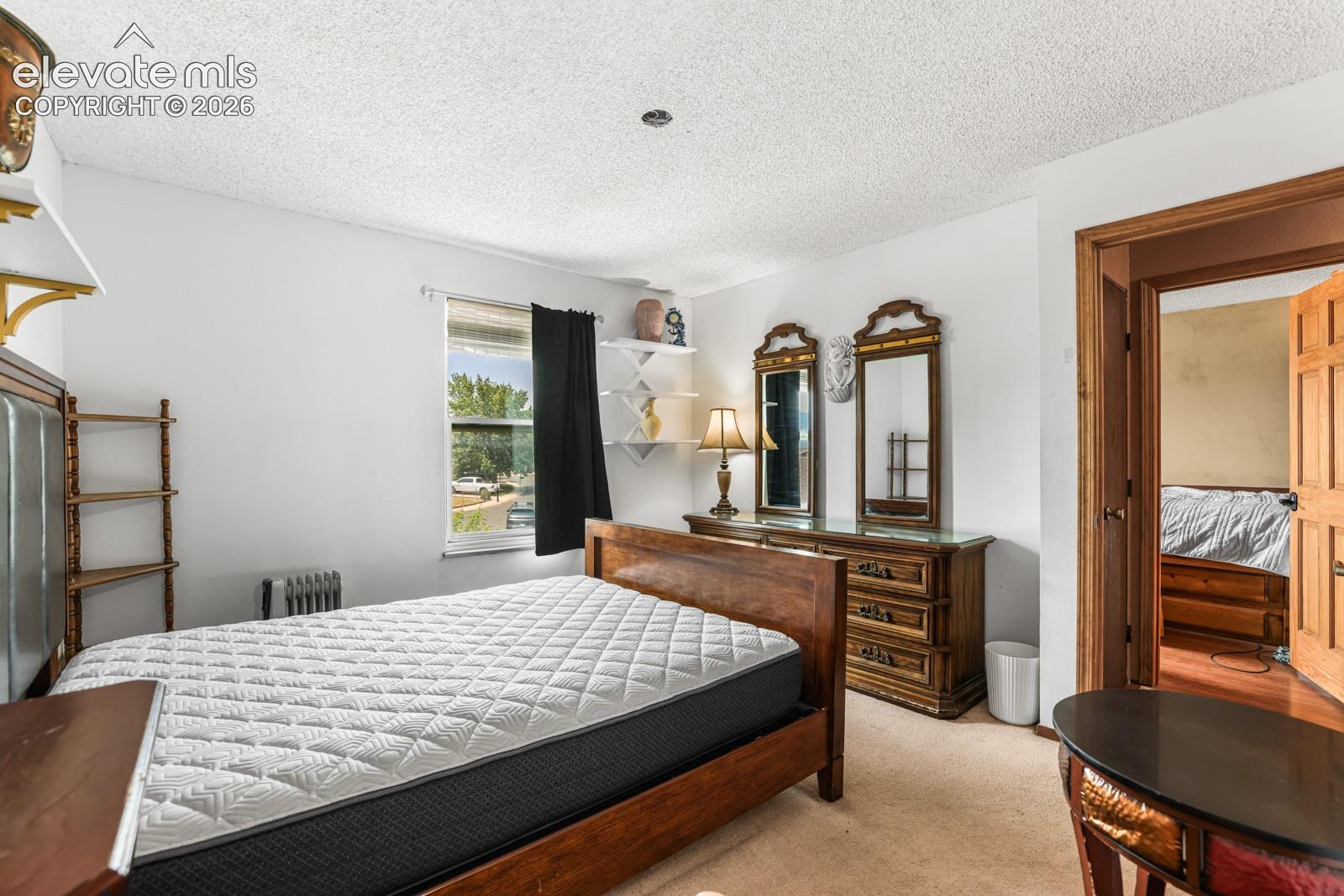 Carpeted bedroom with textured ceiling and neutral wall paint