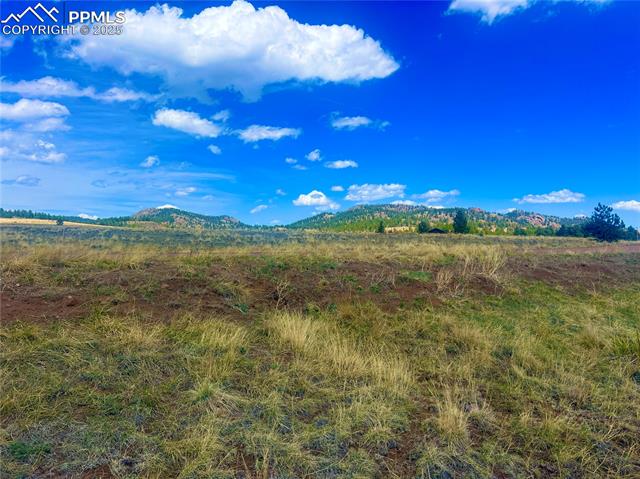 90 Meadow Ln, Guffey, CO 80820