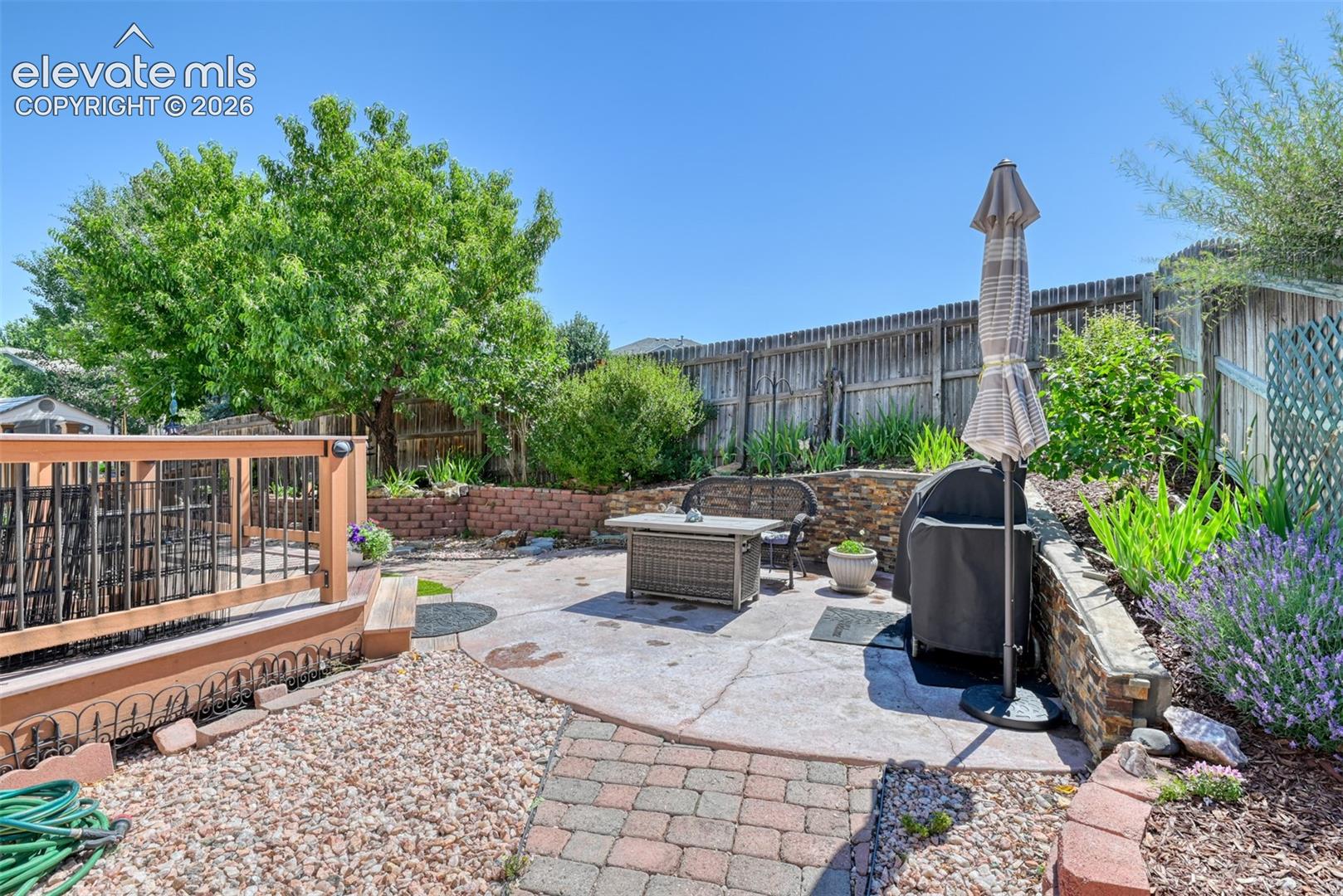 Back Patio