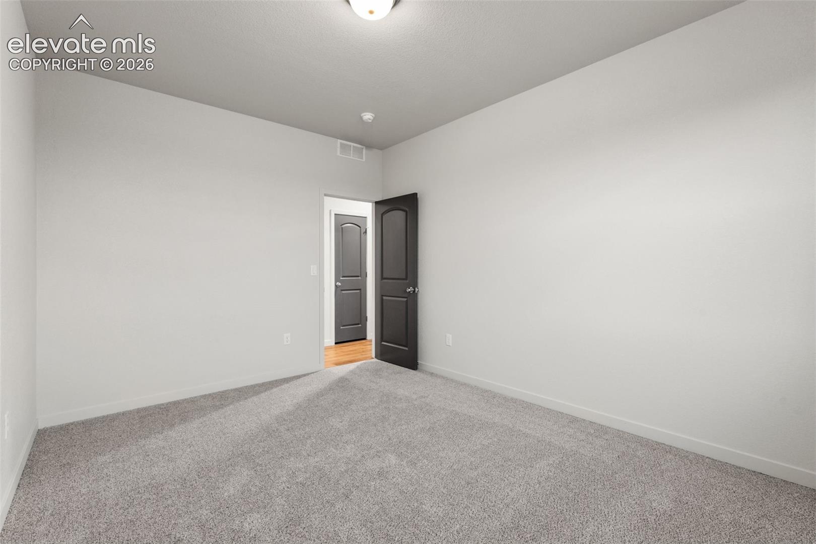 Neutral-toned interior room featuring plush wall-to-wall carpeting, crisp white walls, and dark-finished doors with architectural panel detailing