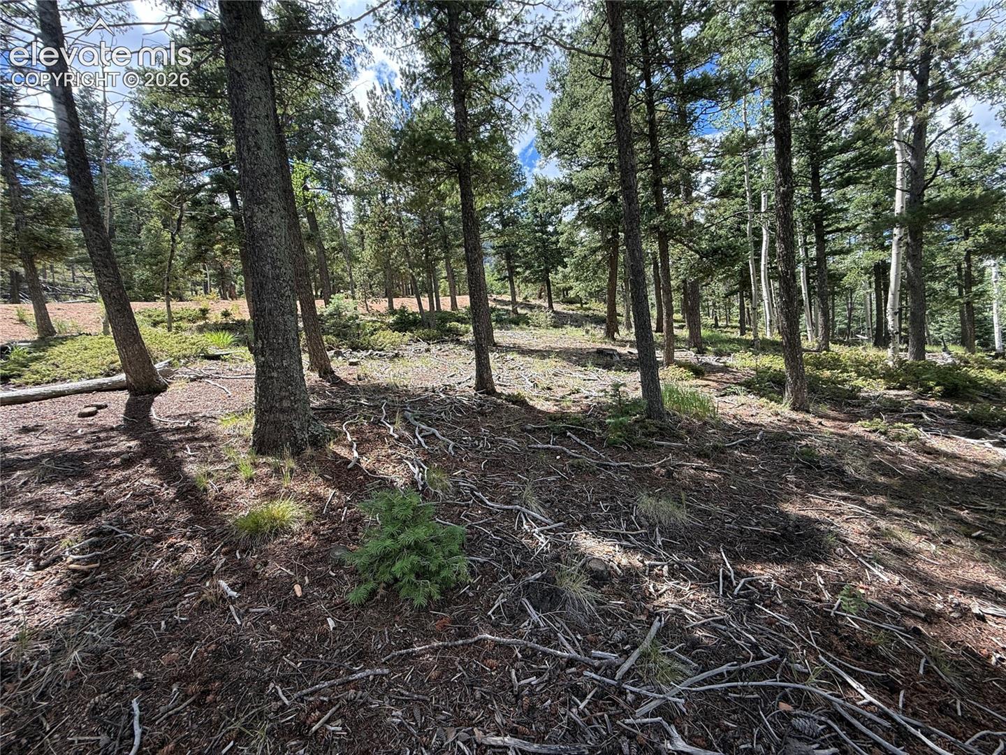 Lot view