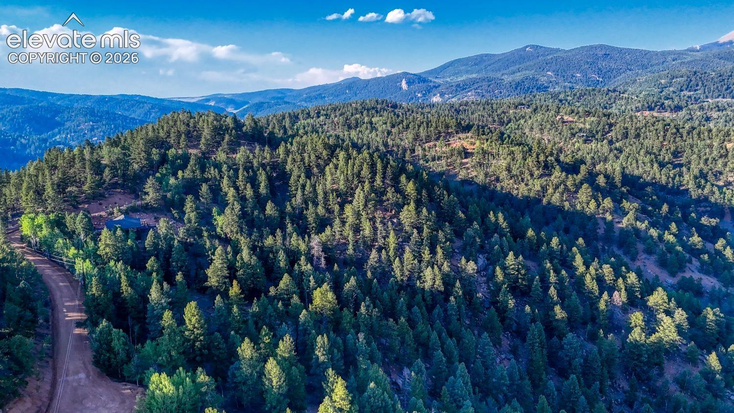 364 Blue Spruce Rd, Divide, CO 80814