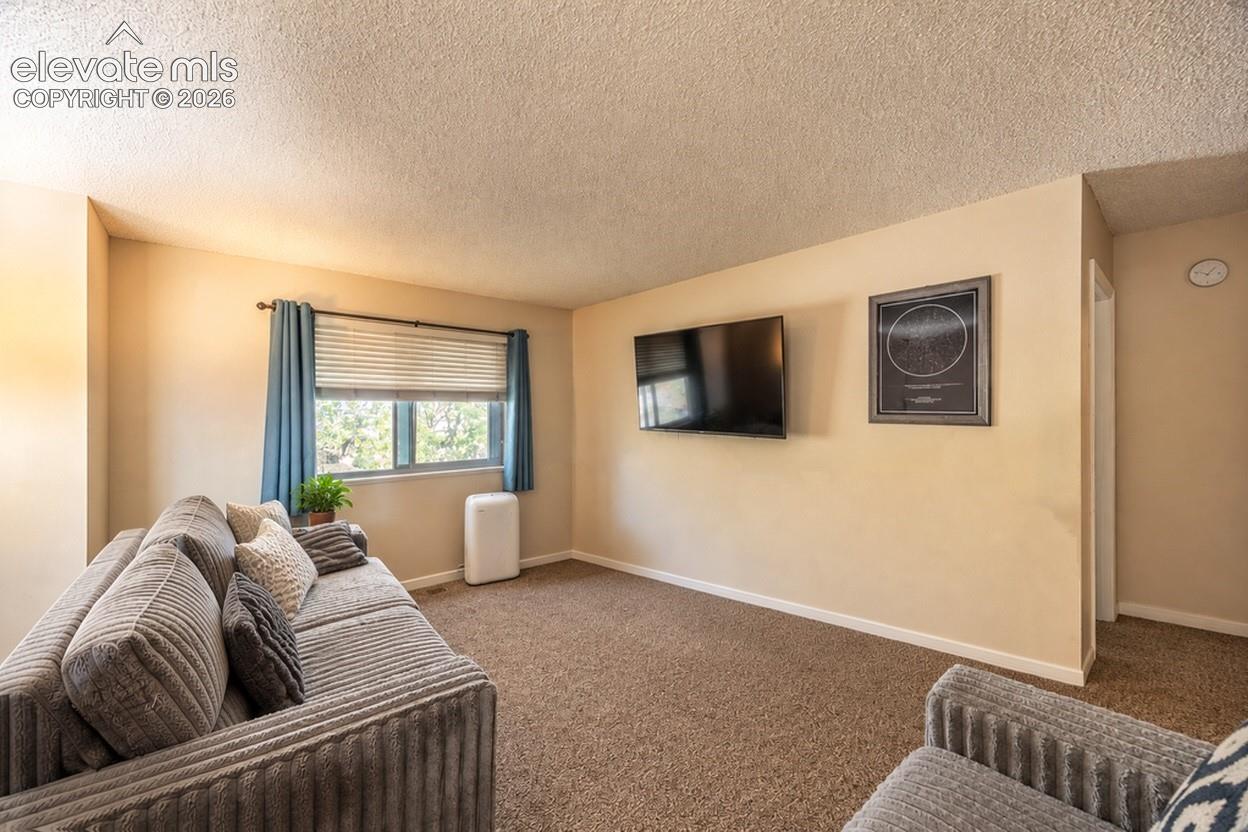 Carpeted room with a window, baseboards, and a wall-mounted television bracket