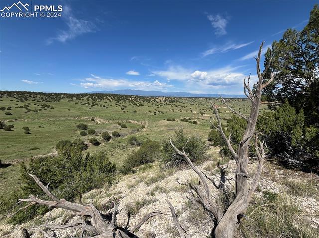 Photo 4 of Railroad Springs Road, Pueblo