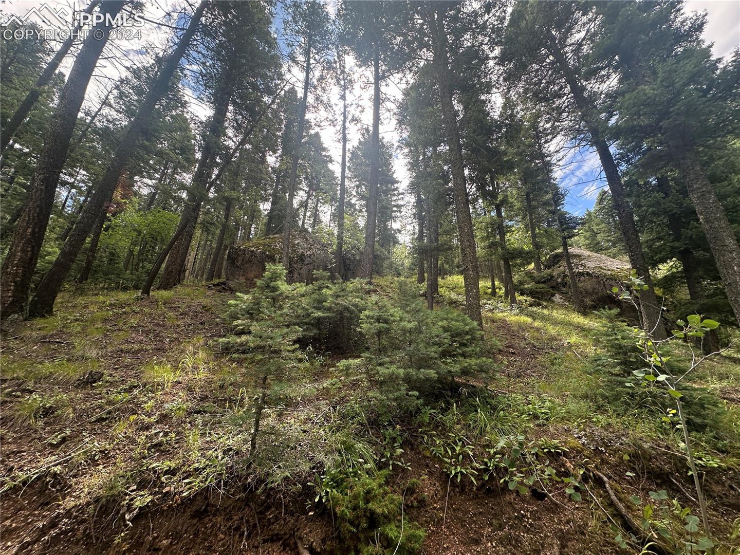 Views of the rock outcroppings