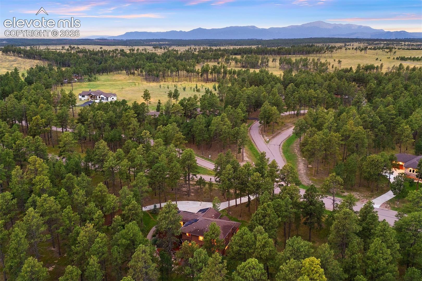 Photo 7 of 14953 Snowy Pine Point, Colorado Springs