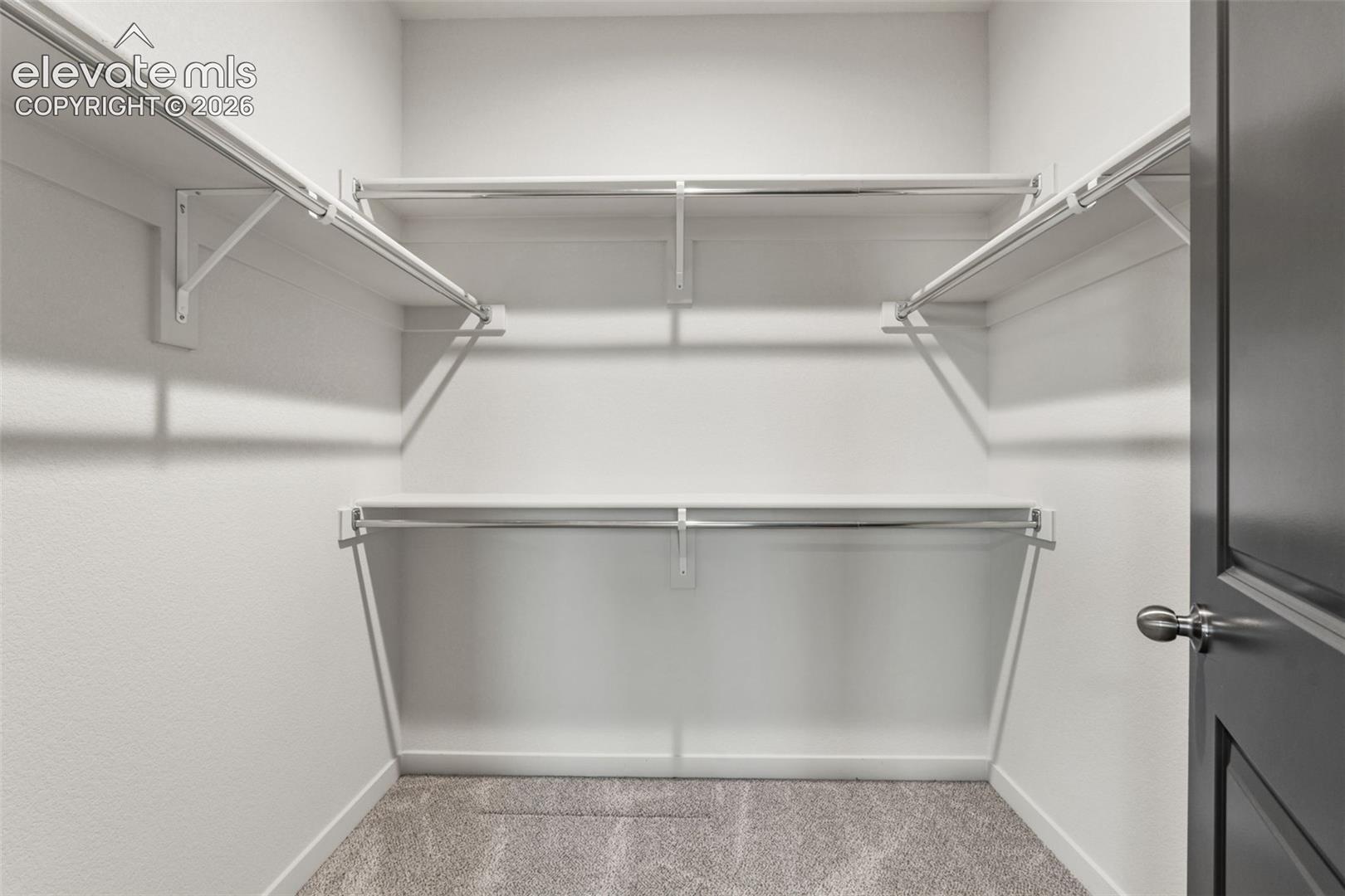 Storage area featuring dual-level metal garment rods, white shelving, neutral wall-to-wall carpeting, and a dark-finish door with brushed metallic hardware