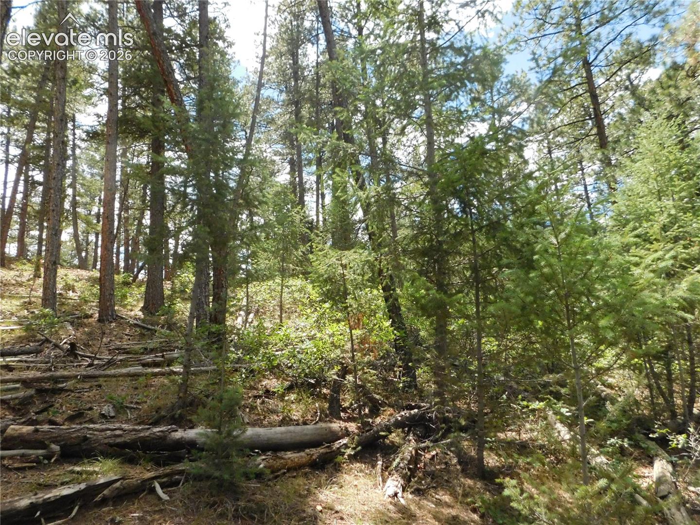 Photo 17 of 8139 Bannock Drive, Larkspur