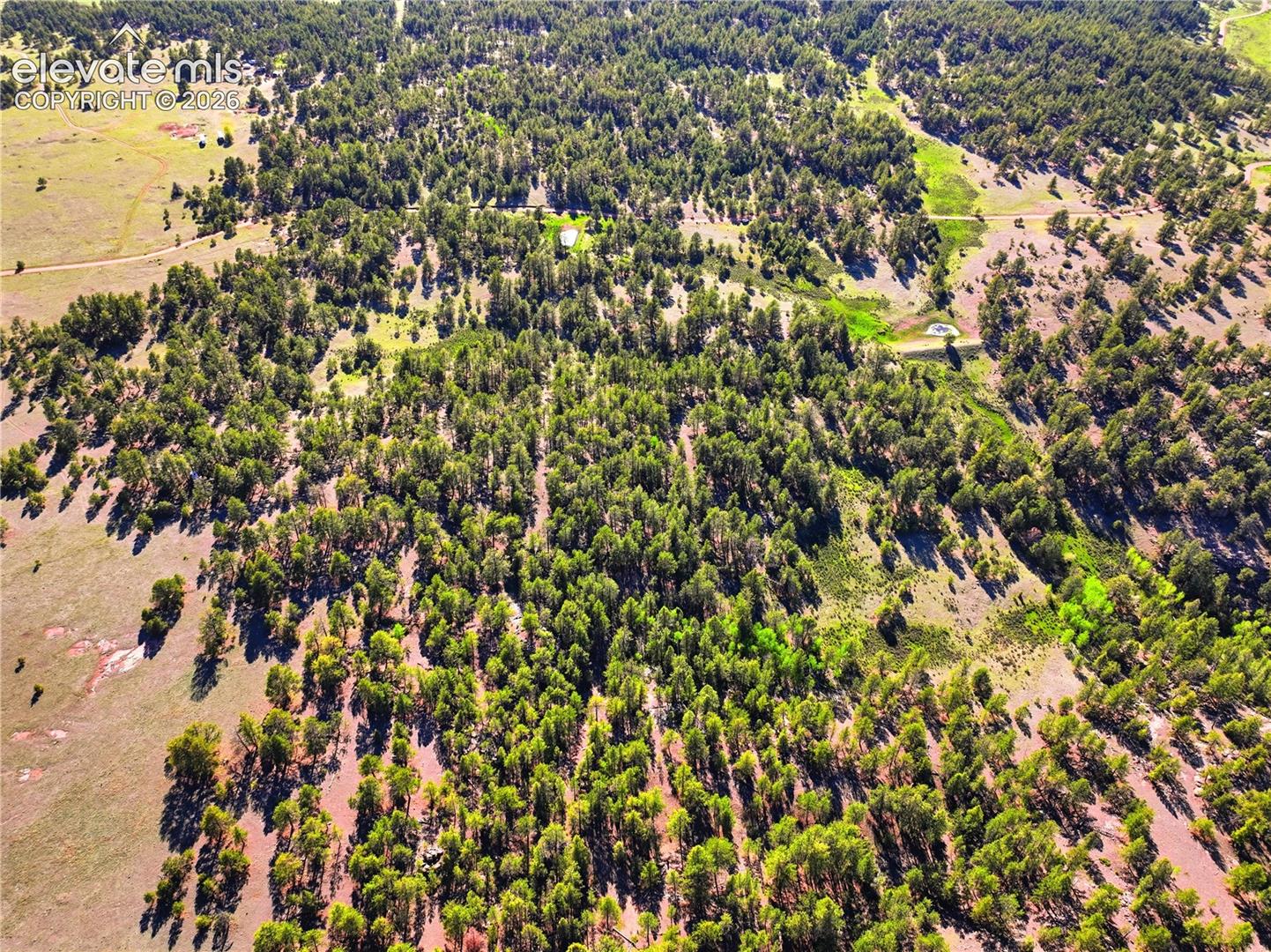 Extensive wooded acreage with varied terrain