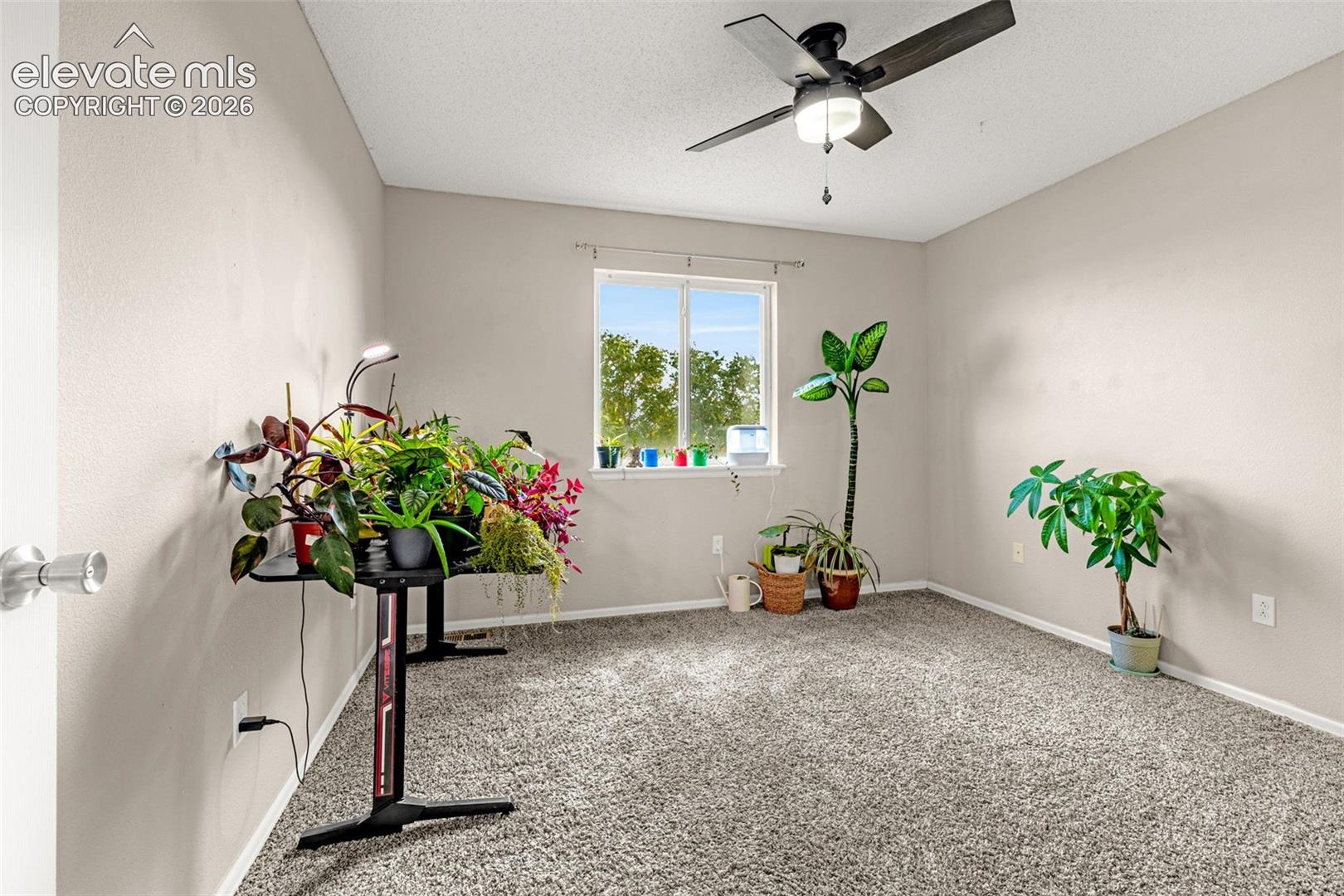Photo 27 of 6195 Steed Way, Colorado Springs