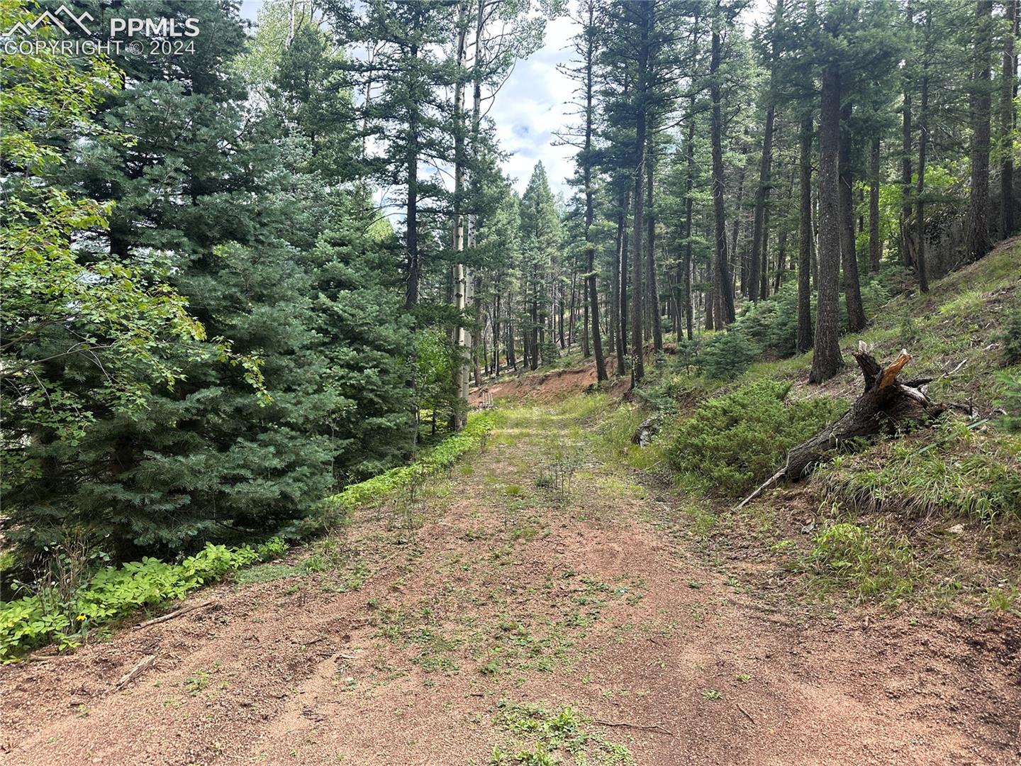 Future Driveway looking to build site