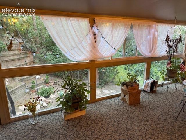 Photo 18 of 6260 Garlock Way, Colorado Springs