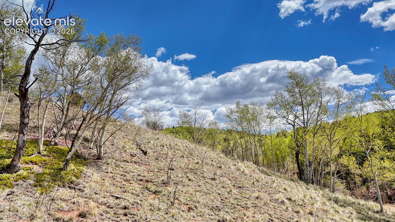 Photo 8 of 2031 Gold King Drive, Cripple Creek