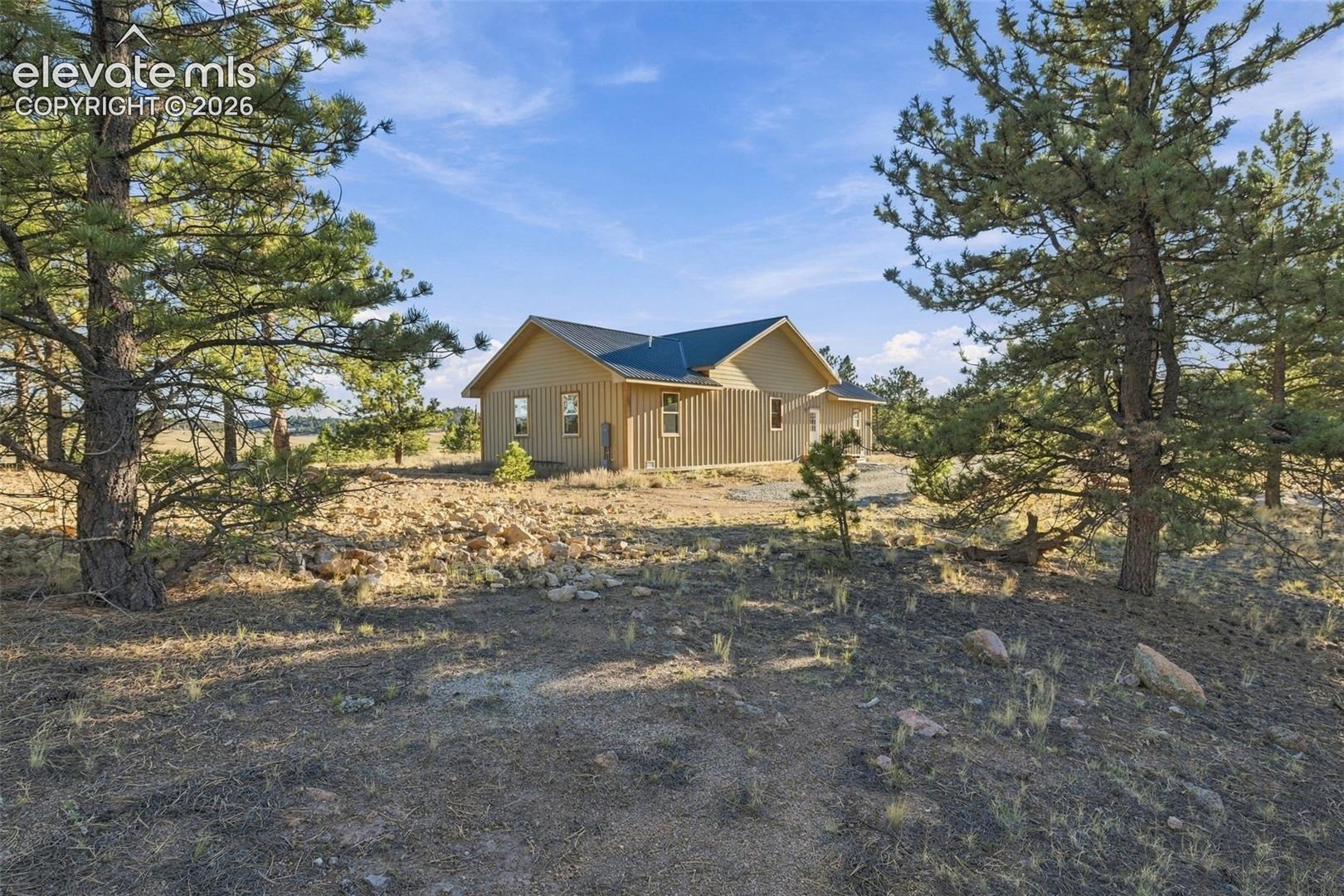 Exterior featuring vertical siding, metal roofing, and native pine trees on a natural landscape