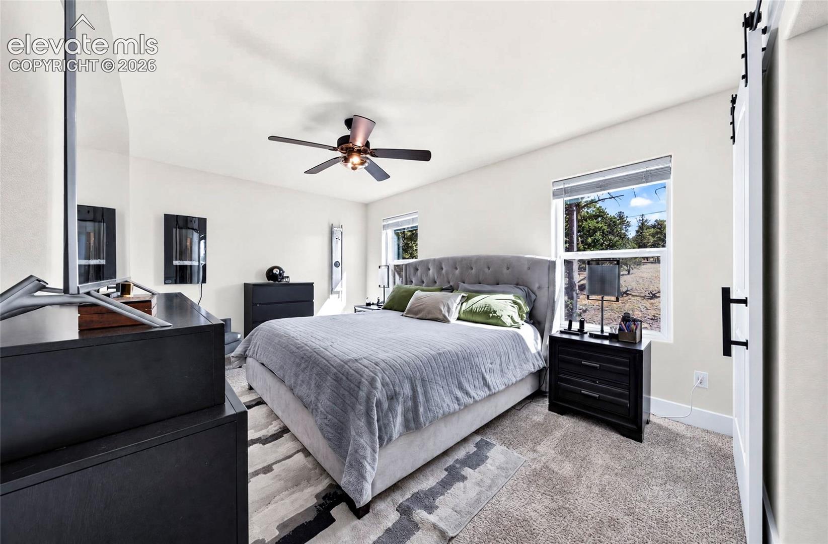 Neutral-toned bedroom featuring carpeting, ceiling fan with integrated lighting, dual windows with roller shades, and a white sliding barn door with black hardware