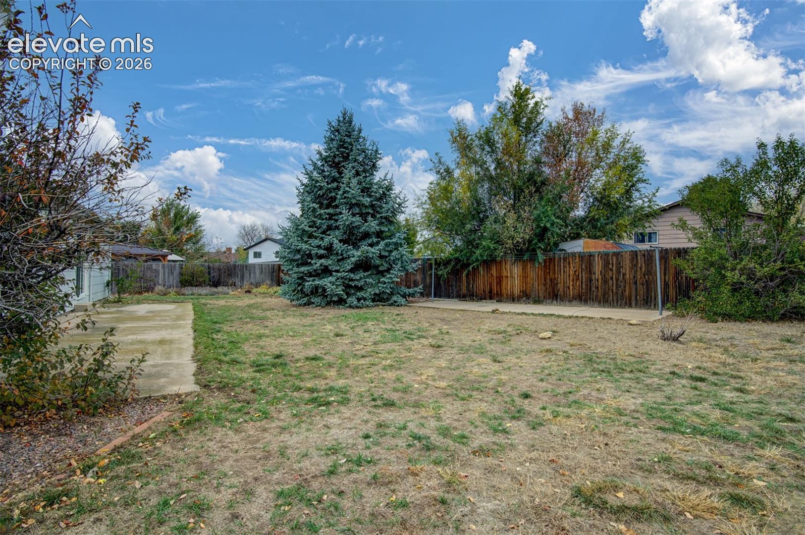 Huge Backyard