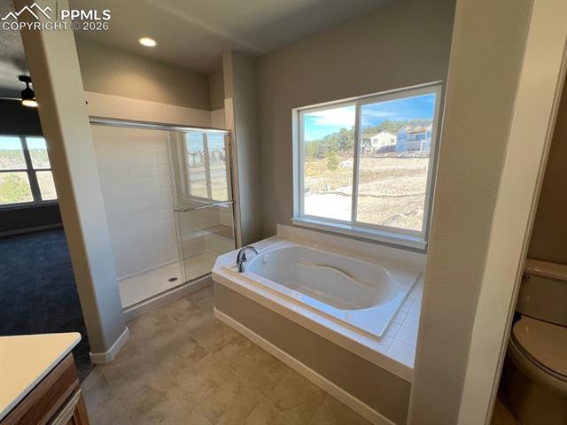 112 Limbach Ct, Monument, CO 80132