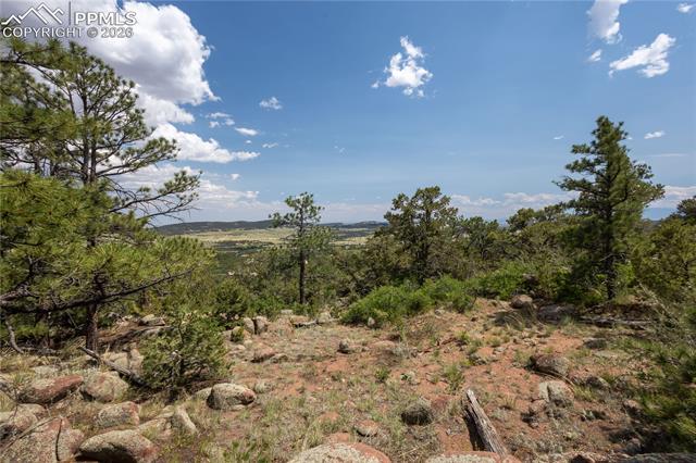 Photo 12 of 15505 S Cuerno Verde View, Colorado Springs