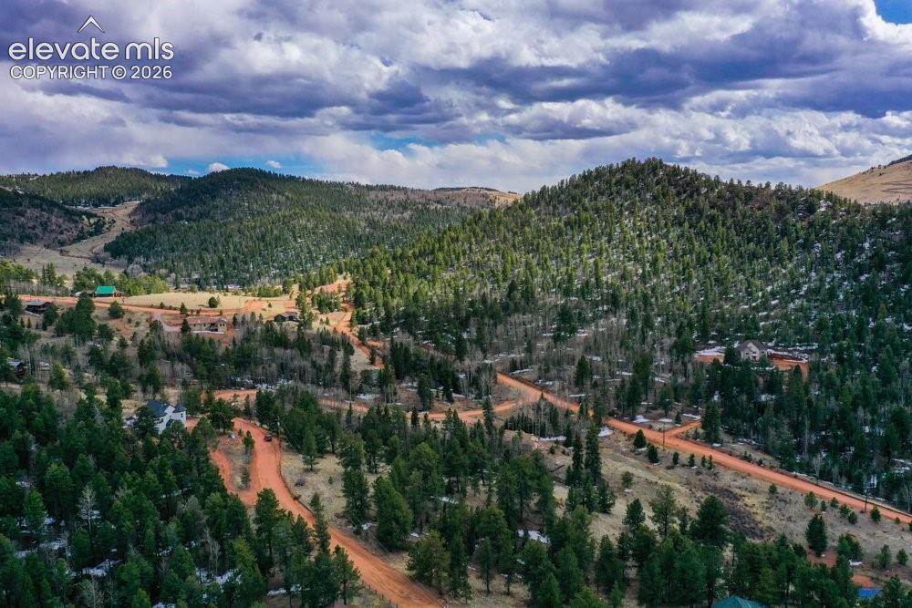 Mountain view featuring a forest view