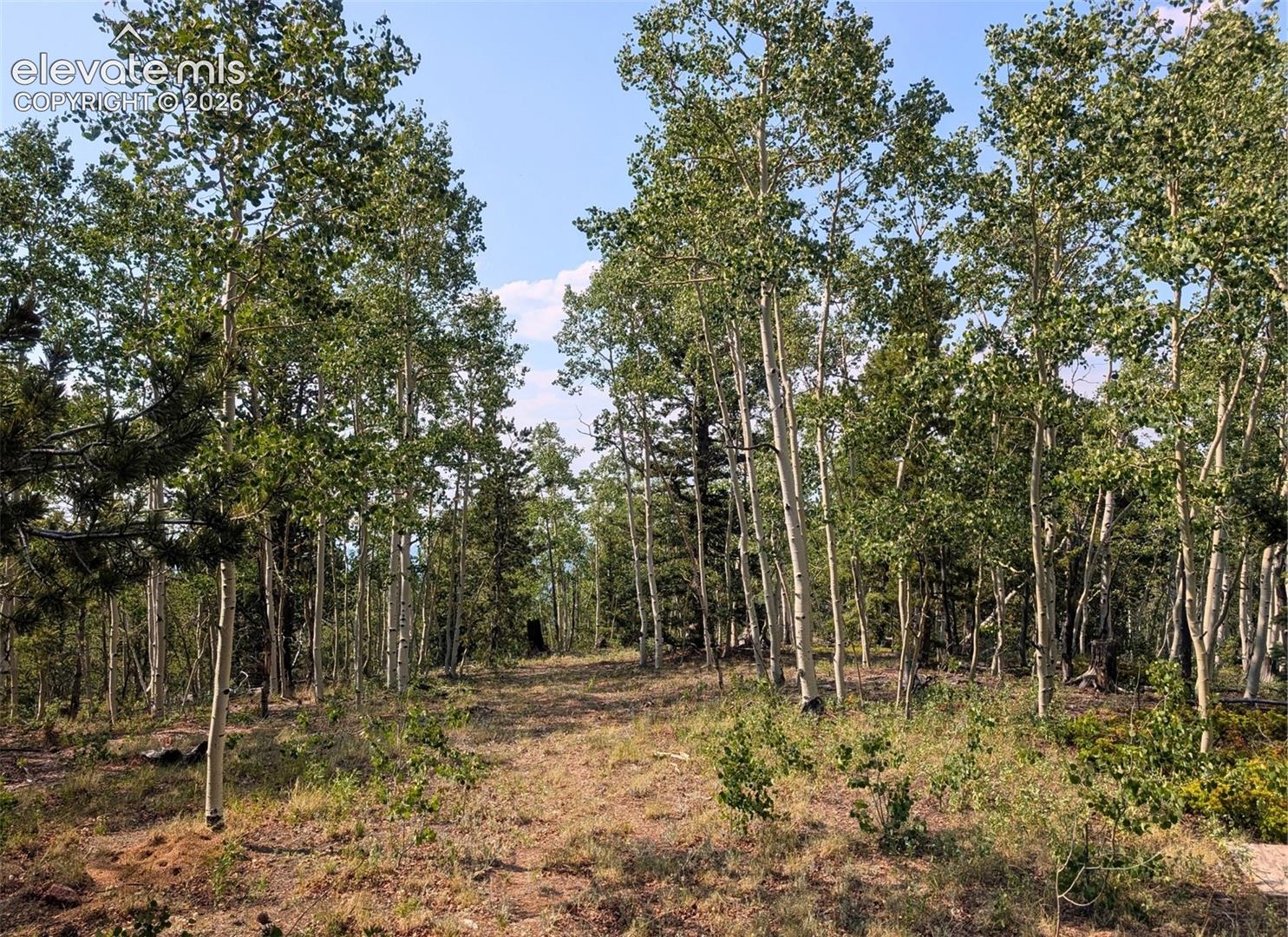 Photo 9 of Fairview Drive, Cripple Creek