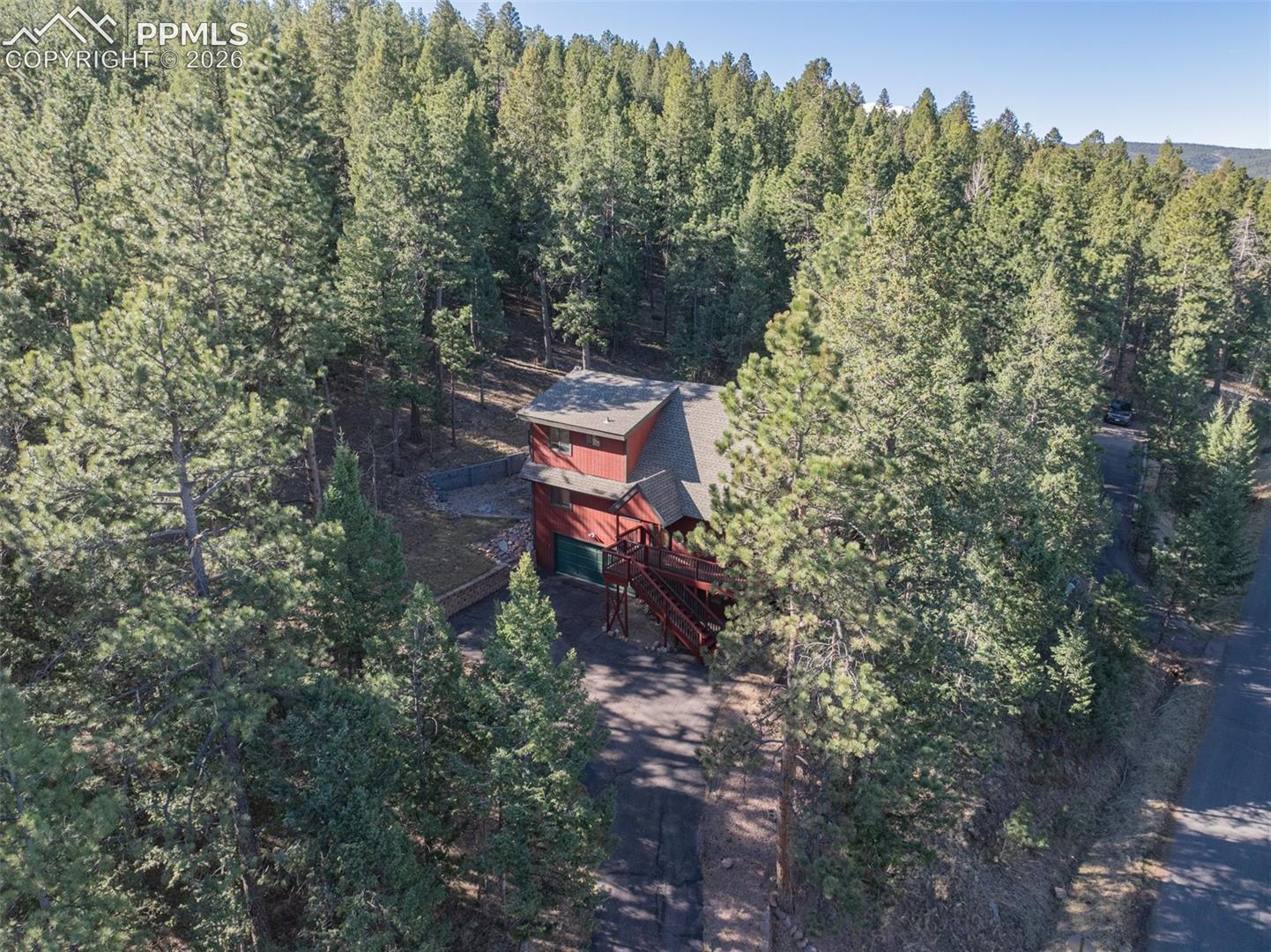 Aerial view of a forest