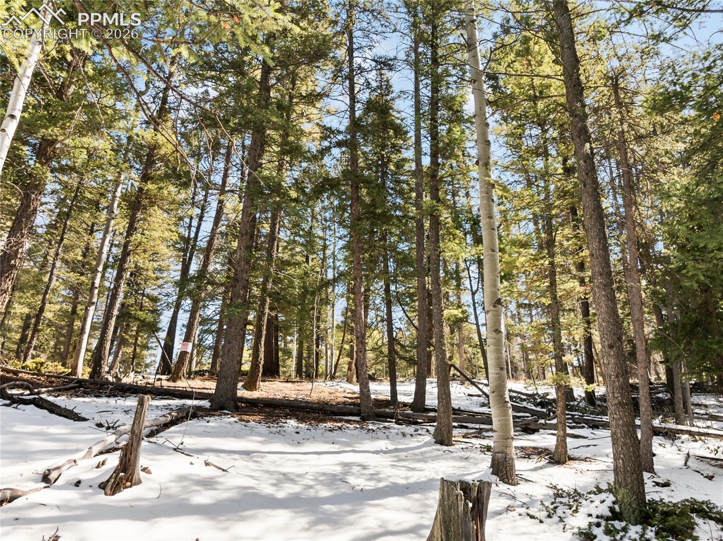 Wooded 
