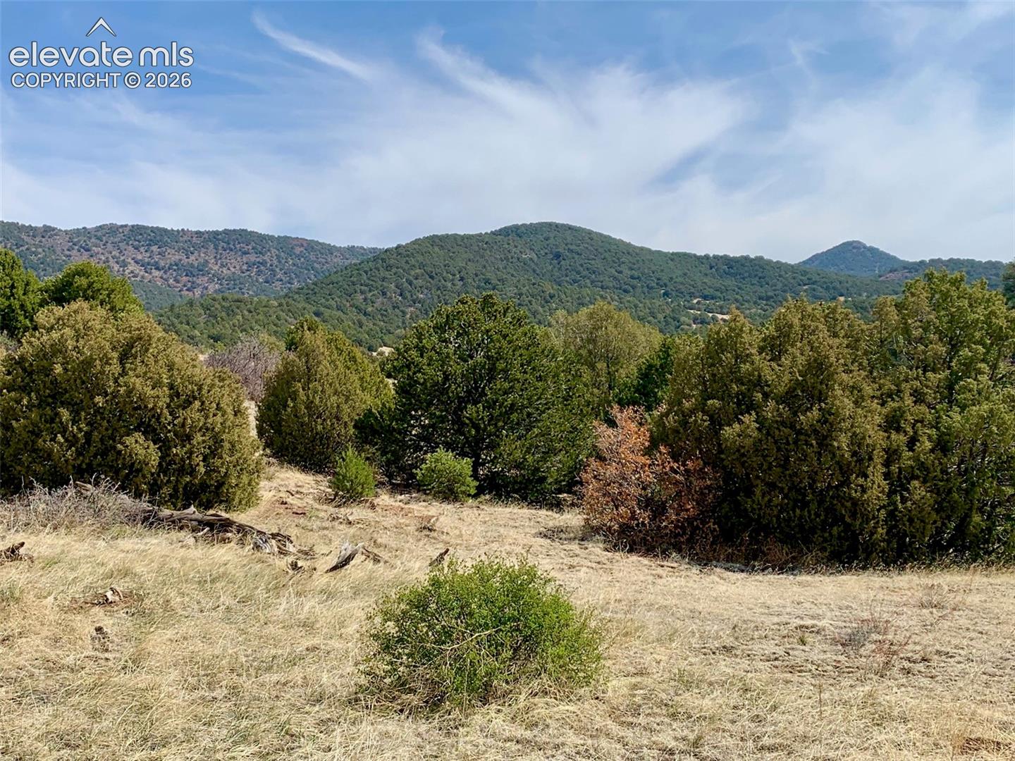 Expansive natural landscape featuring rolling topography, native grasses, mature evergreen trees, and a mountain backdrop