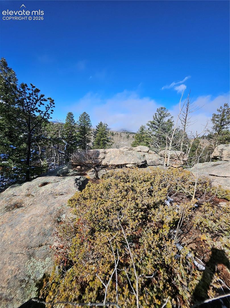 Natural rock outcroppings, native ground cover, and mature evergreen trees featuring mountain scenery