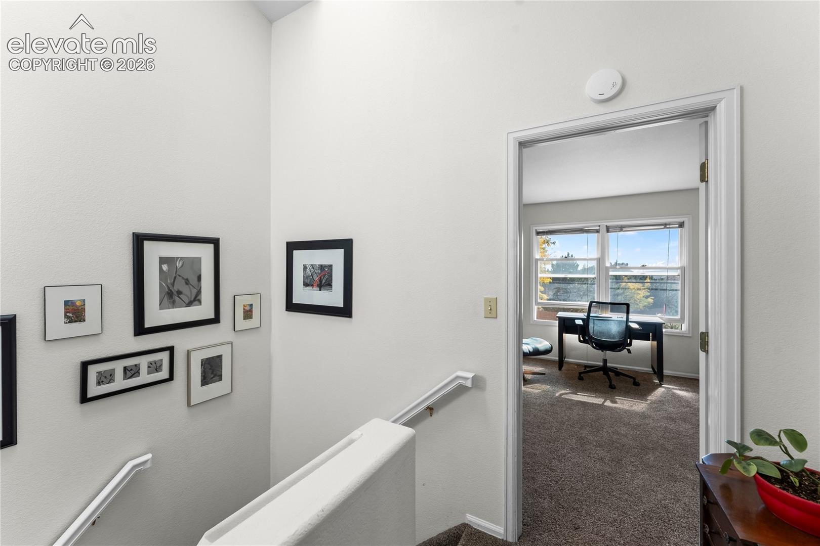 Carpeted upper level with an open doorway leading to a room featuring large windows