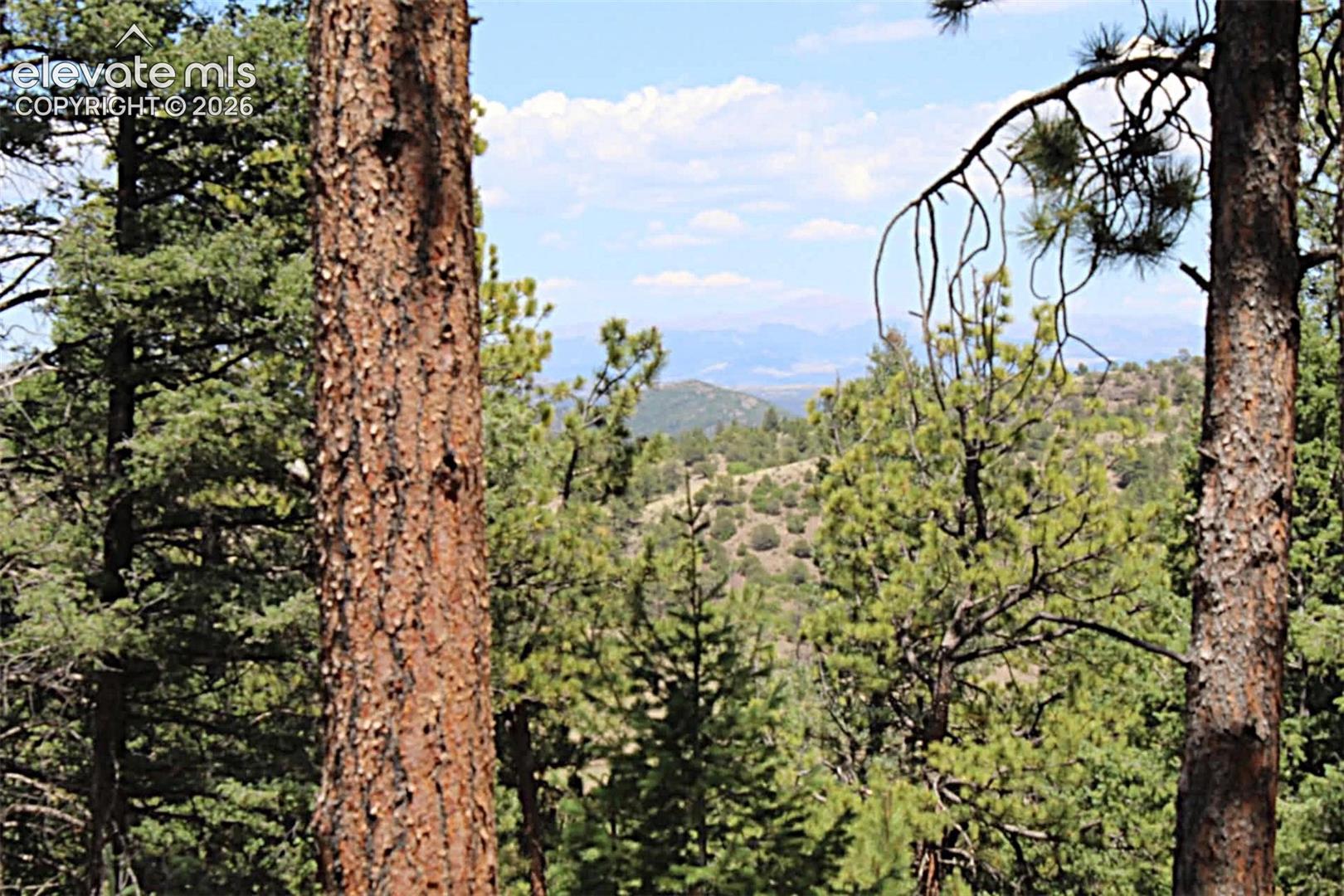 Photo 19 of TBD Tallahassee Lane, Canon City