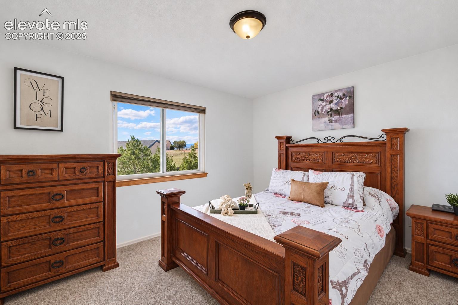 Neutral interior featuring wall-to-wall carpeting, single-pane window with wood-trim finish, and a central ceiling-mounted light fixture