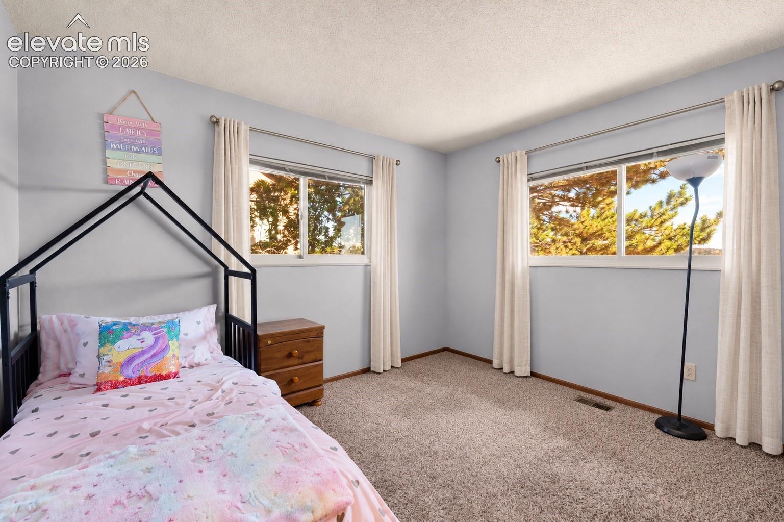 Photo 20 of 118 Sunbird Cliffs Lane, Colorado Springs