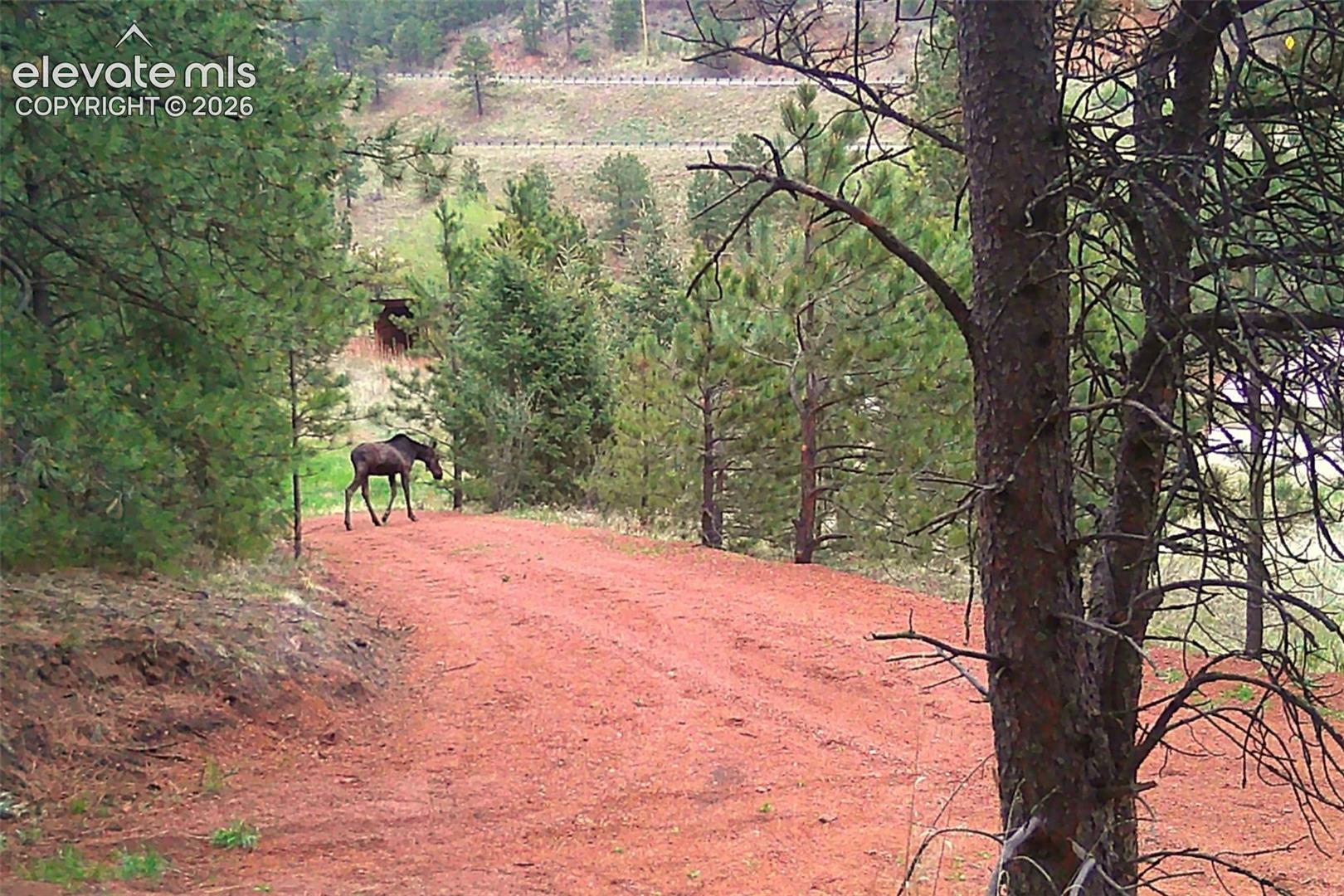 Photo 20 of 10905 W Highway 24, Green Mountain Falls