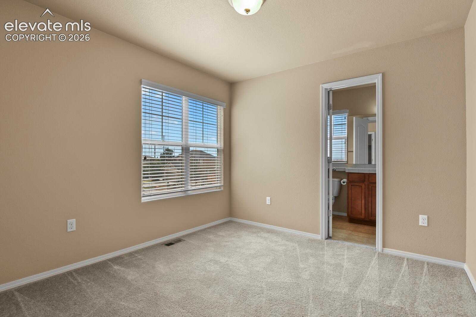 Plush carpet flooring, neutral wall tones, and a window with horizontal blinds