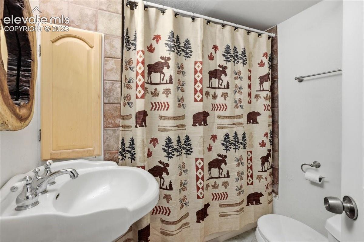 Basement bathroom