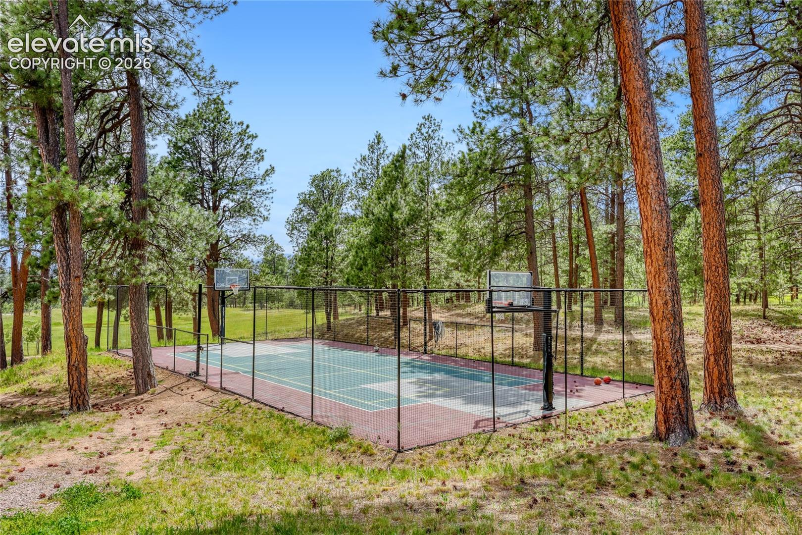 Photo 9 of 15931 Waving Branch Way, Colorado Springs
