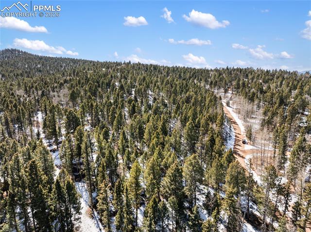358 Pawutsy Rd, Florissant, CO 80816
