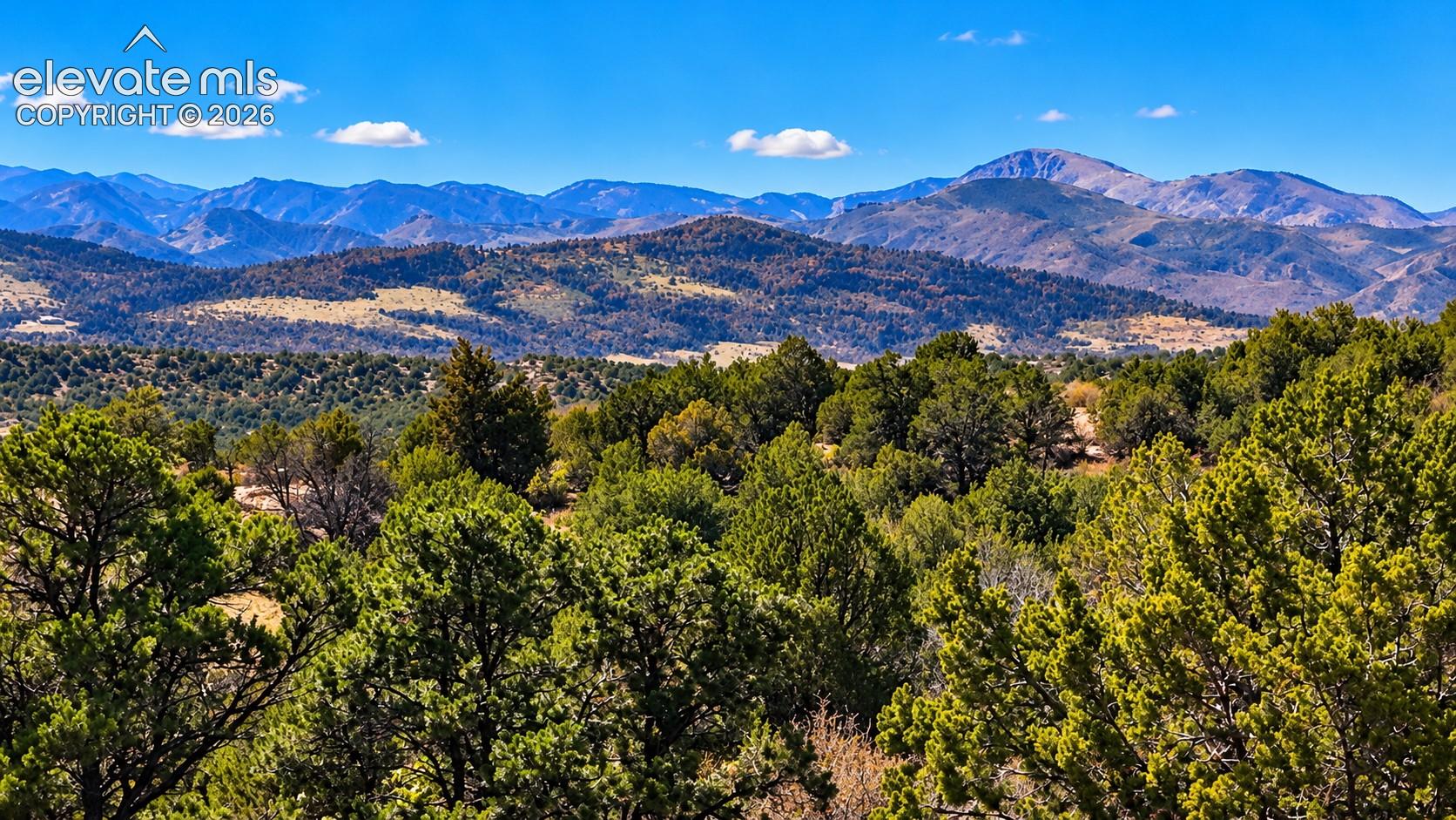 Stunning mountain views rise above a landscape of mature juniper trees, rolling hills, and natural Colorado vegetation.

