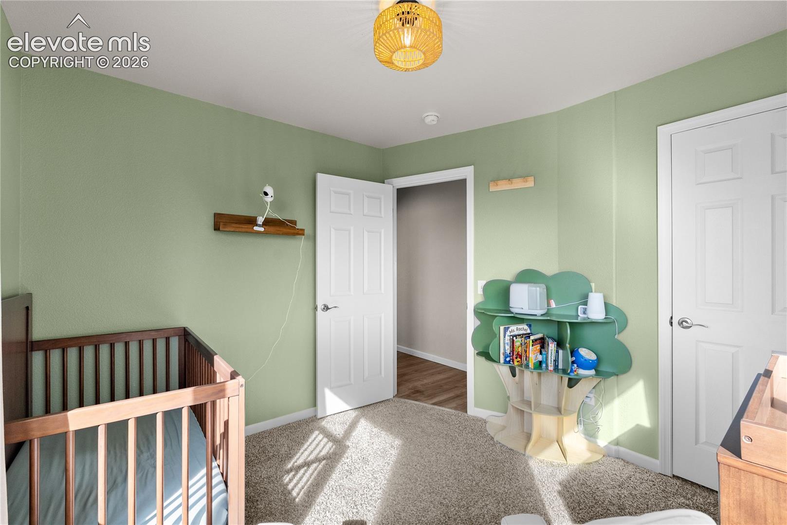 Light green painted walls, neutral carpeting, white interior doors, and a decorative ceiling light fixture