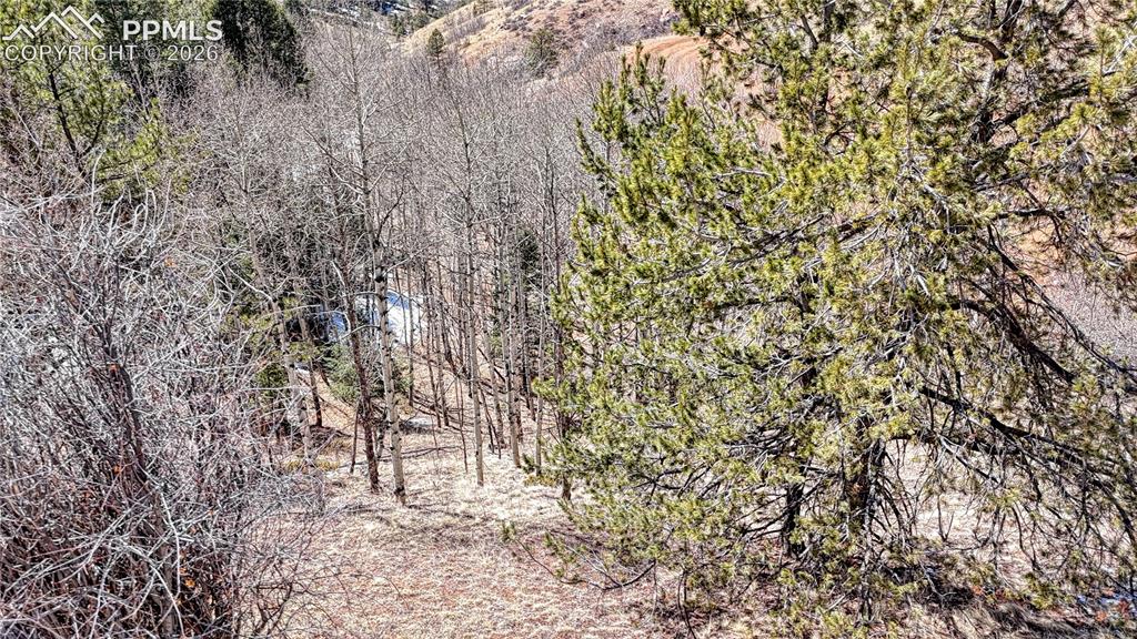 Photo 12 of 513 Last Dollar Drive, Cripple Creek