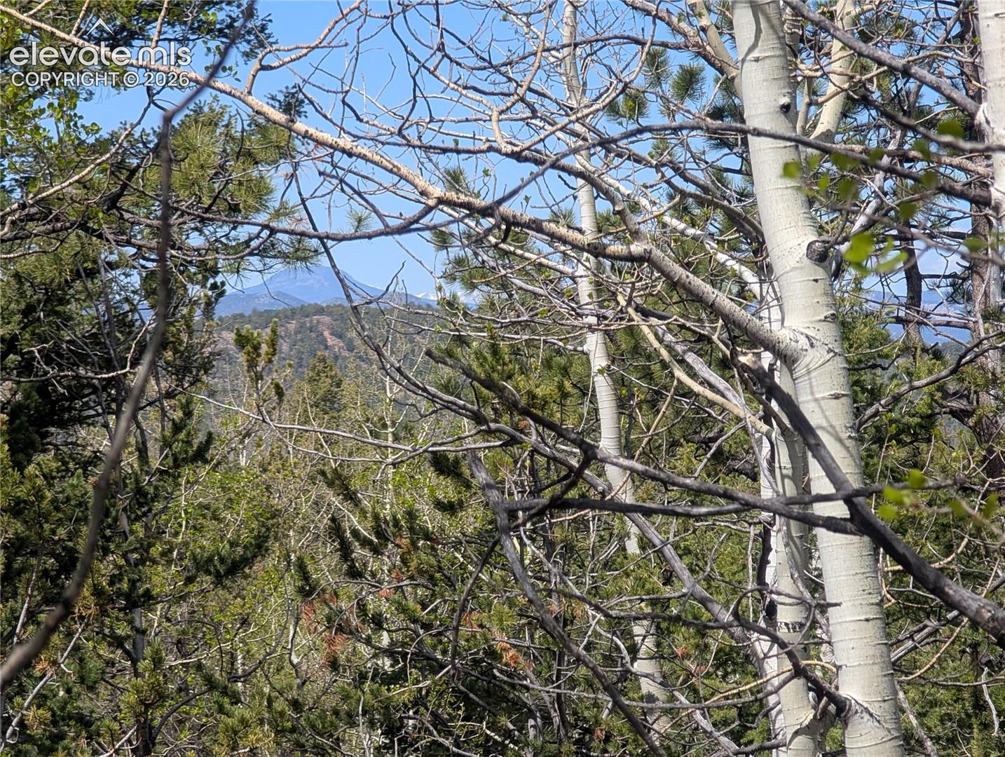 Photo 8 of 905 May Queen Drive, Cripple Creek