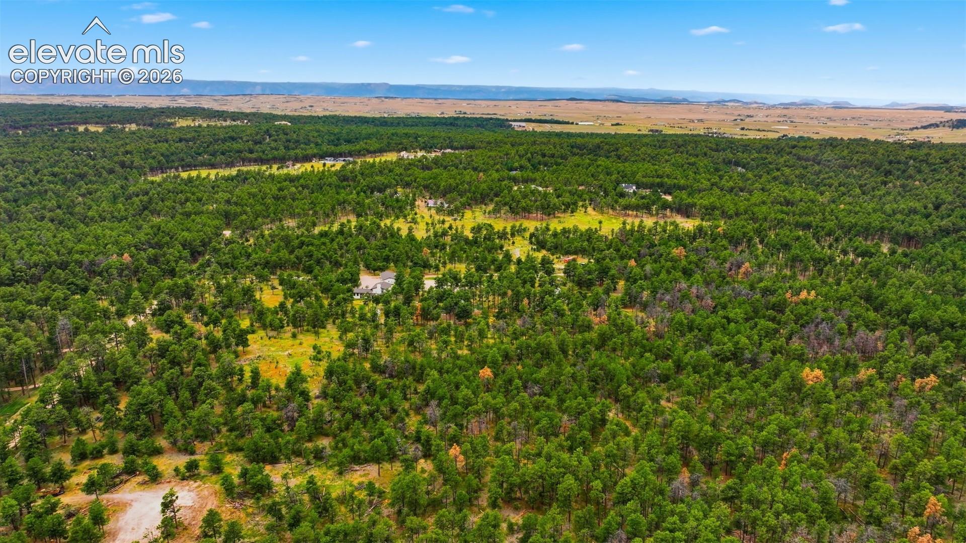 Photo 7 of 17374 Goshawk Road, Colorado Springs