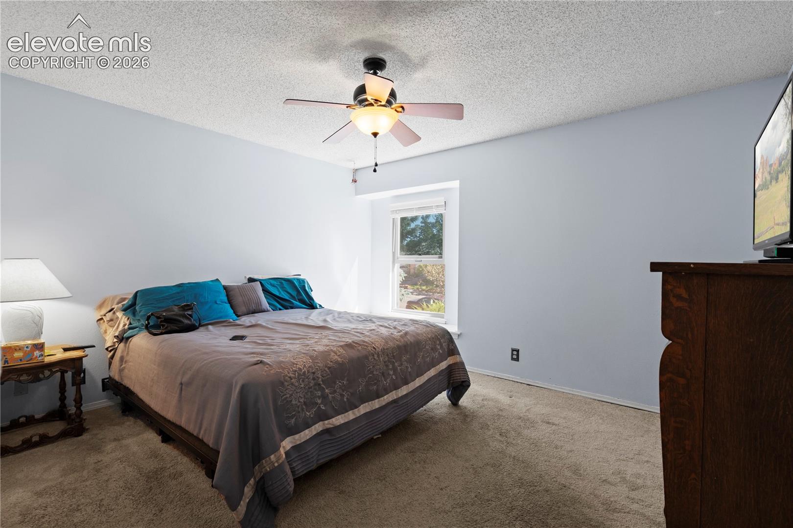 Carpeted flooring, ceiling fan with integrated lighting, single window, and painted walls